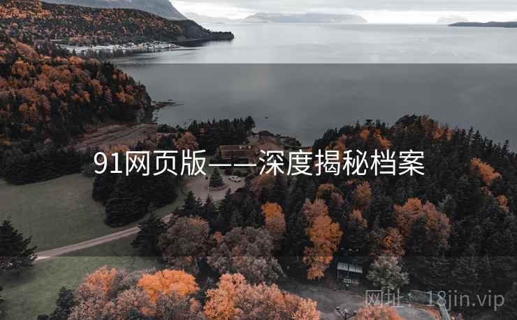 91网页版——深度揭秘档案