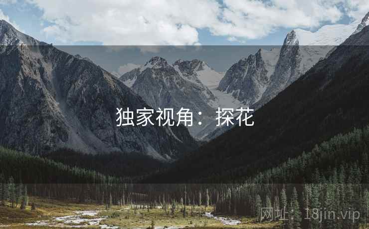 独家视角：探花