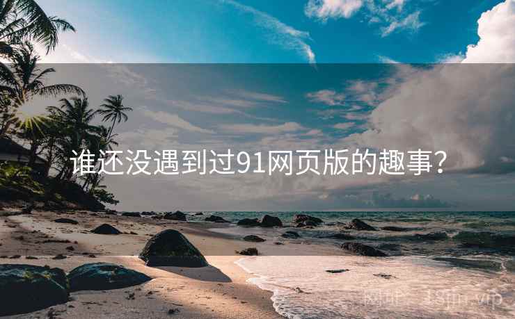 谁还没遇到过91网页版的趣事？