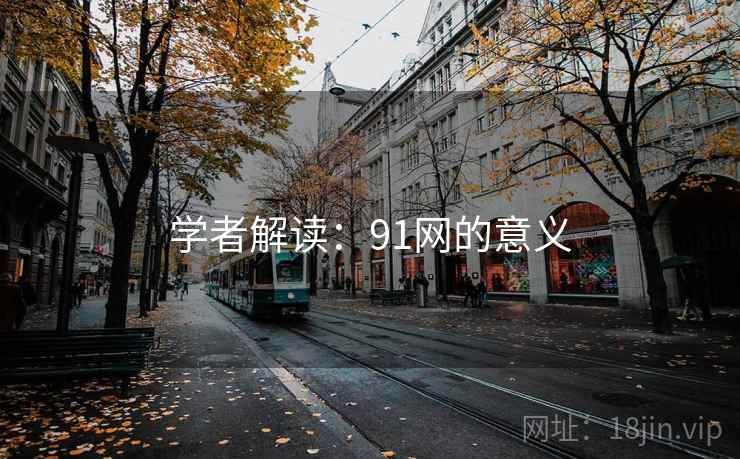 学者解读：91网的意义