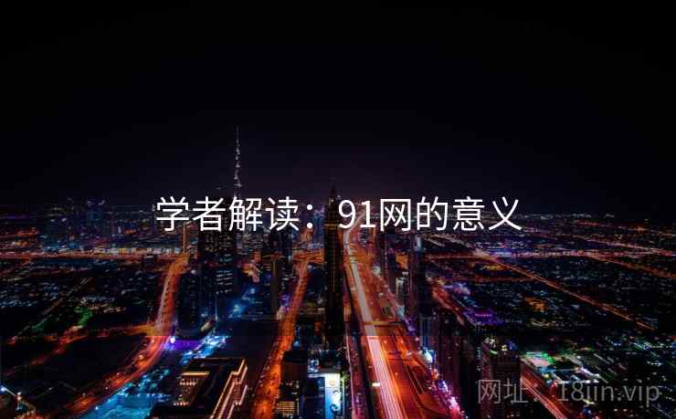 学者解读：91网的意义