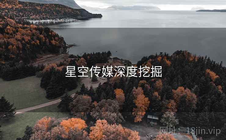 星空传媒深度挖掘