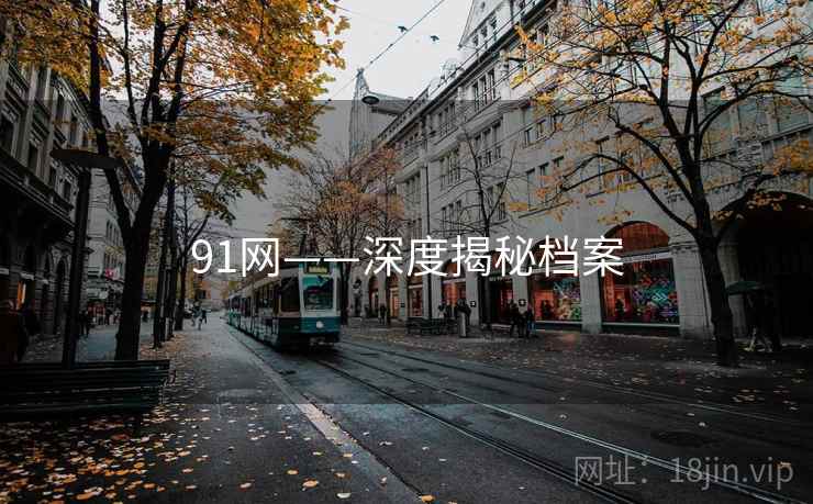 91网——深度揭秘档案