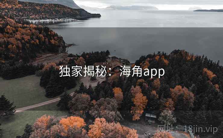 独家揭秘:海角app 独家揭秘:海角app